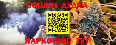 шишки Можайск